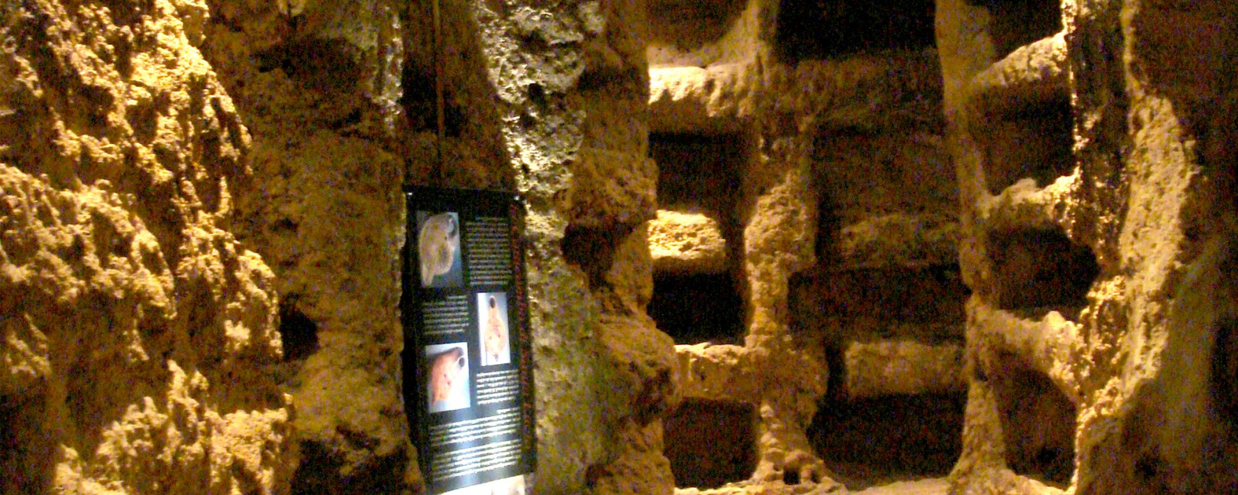 interno-delle-catacombe-di-Santa-Lucia-foto-di-Giovanni-dall'-Orto-via-Wikimedia-Commons
